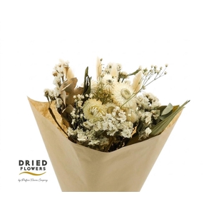 Dried Bouquet White x10