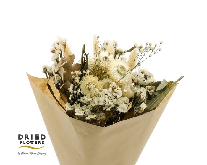 <h4>Dried Bouquet White x10</h4>