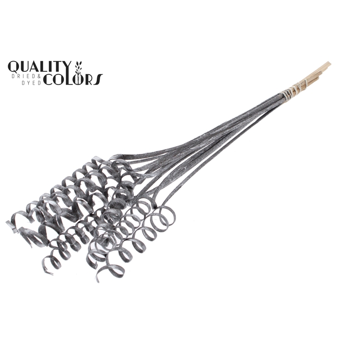 <h4>Cane Spring on stem Metallic Graphite</h4>