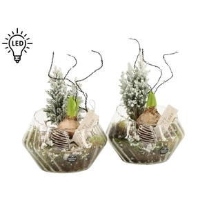 61968: X-mas arrangement met LED