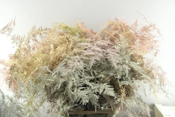 <h4>Asp Lang Getopt (metalic Mix)</h4>