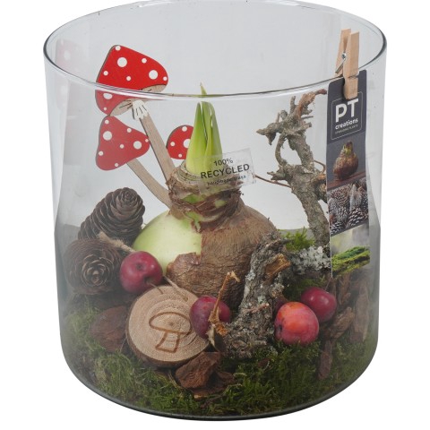 <h4>PTAA7591 Arrangementen Hippeastrum</h4>