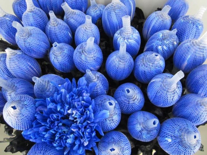 <h4>Chr G Antonov Blauw</h4>