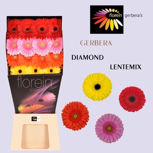 GE GR MIX Diamond Lente Mix 45
