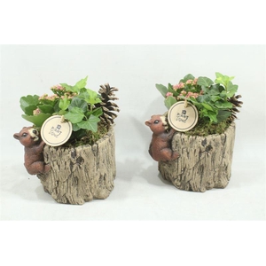 arr2 PT Ker. Boomstam met Eekhoorn - mix