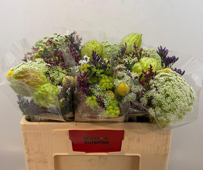 <h4>GEM ZOMERBOEKET</h4>