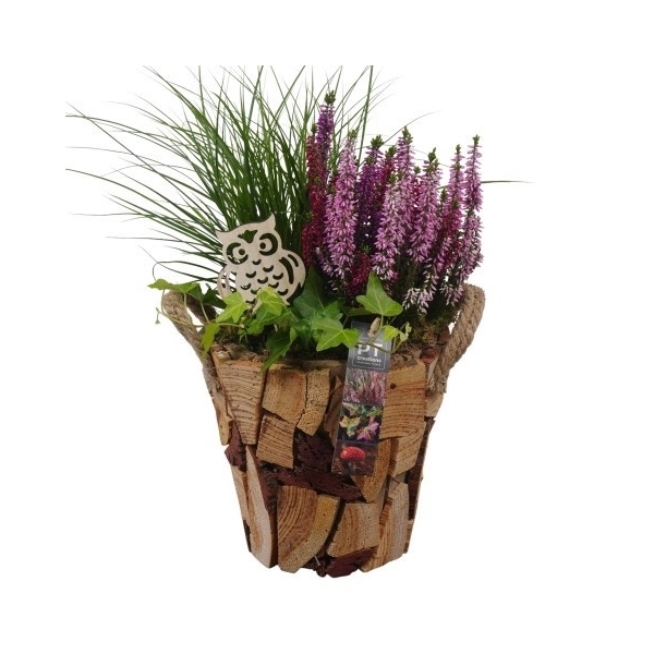 PTHO4197 Arrangement Herfst Outdoor in houten pot