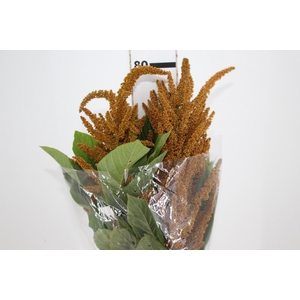 AMARANTHUS DOURADO 070 CM