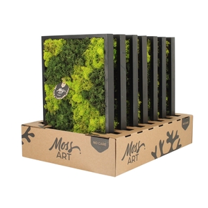 90778: Moss Art Rectangular D38