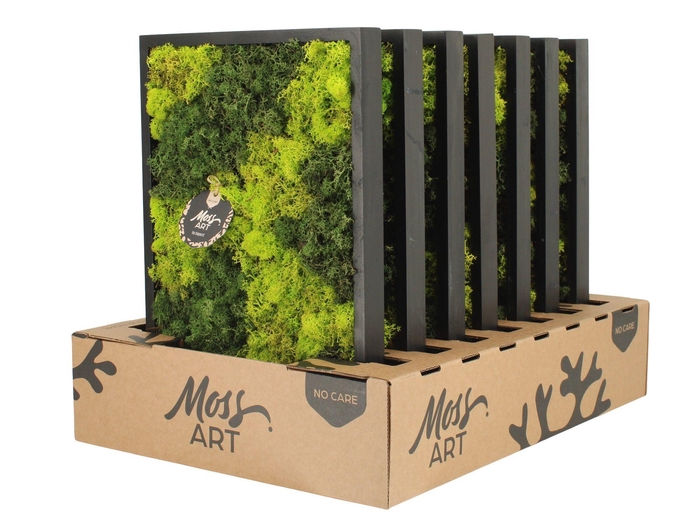 <h4>90778: Moss Art Rectangular D38</h4>