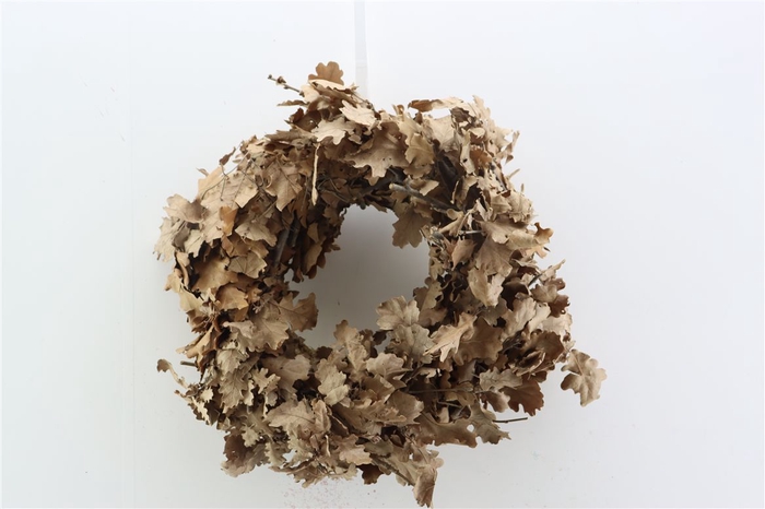 Wr Oak Mini 30cm Natural Brown