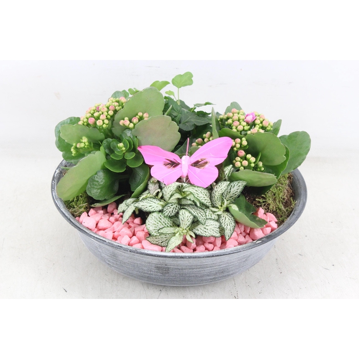 <h4>Arr2 Pl - Zink Antiekschaal - Roze</h4>