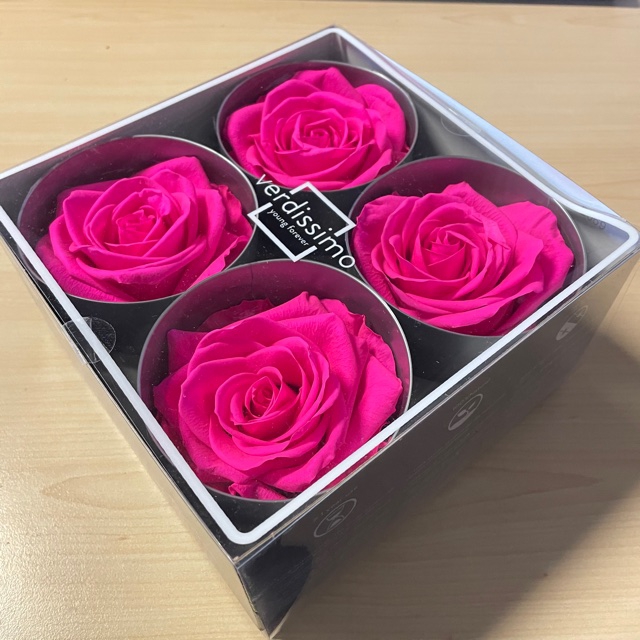 Roos premium bright pink