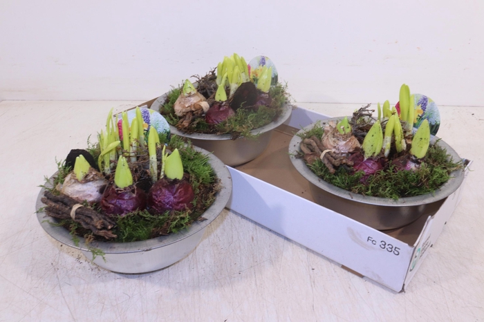 <h4>ARR BOL KNOLGEWAS</h4>