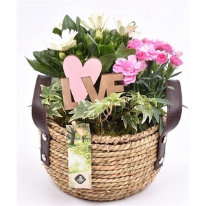 Touwmand met leer handv.18-20cm