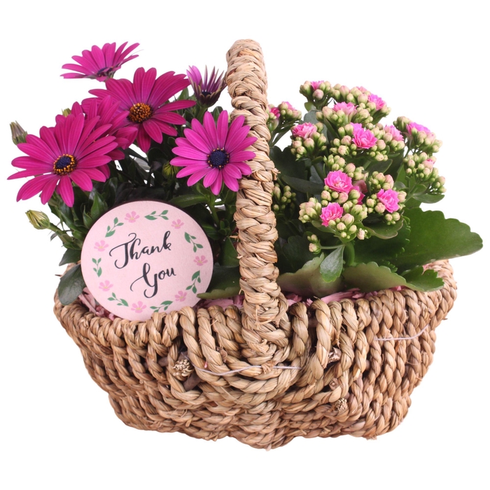 <h4>Mothersday Arr. Outdoor Waterhyacint Handle Basket Ø25cm 2PP</h4>