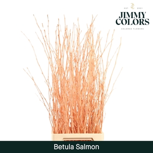 Betula L120 Salmon