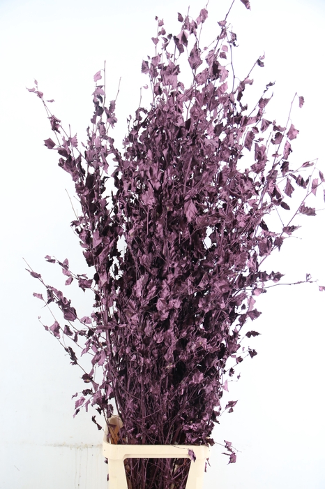 <h4>Betula met Blad Metallic Bord.</h4>