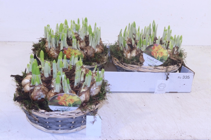 <h4>ARR N TETE A TETE</h4>