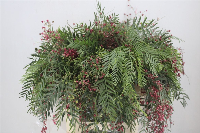 <h4>Pepperberry P Bunch</h4>