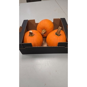 CUC HALLOWEEN