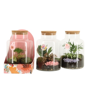 21881: Lovess terrarium