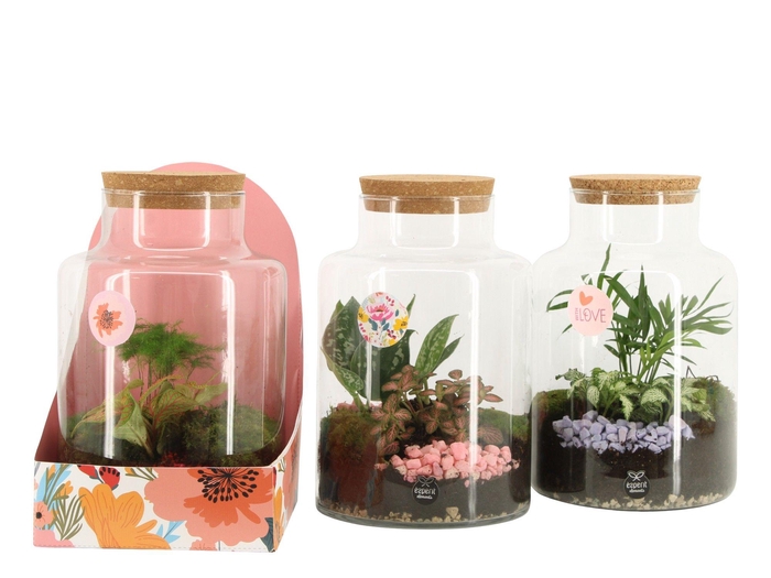 <h4>21881: Lovess terrarium</h4>