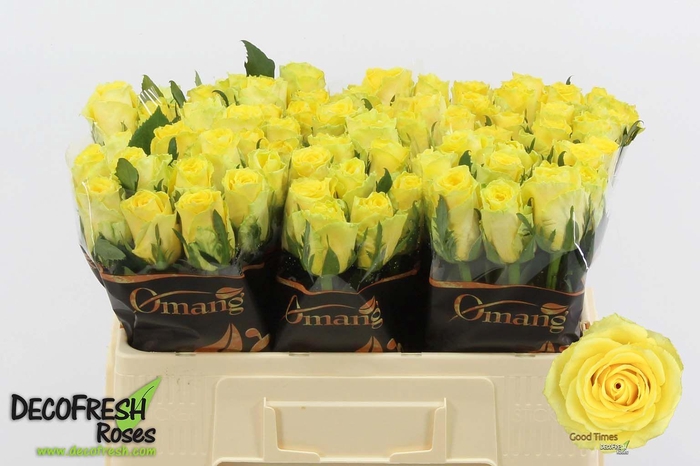 <h4>R GR Good Times</h4>