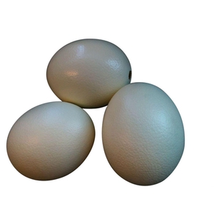 Egg Ostrich Resin
