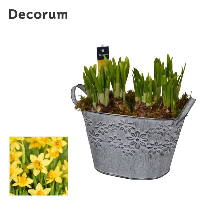 <h4>Narcis Flower Basket HL12633N</h4>