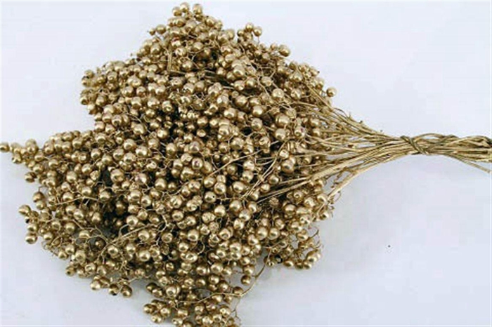 <h4>Schinus M Pt Gold Bunch</h4>