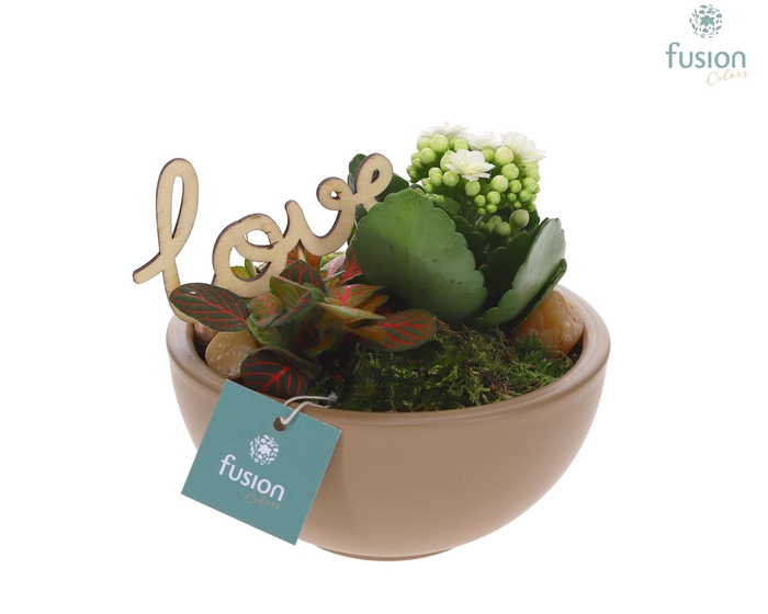 <h4>Schaal keramiek Moon Small beige Love met arrangement</h4>