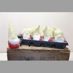 Kleine Gnoom H25 D10