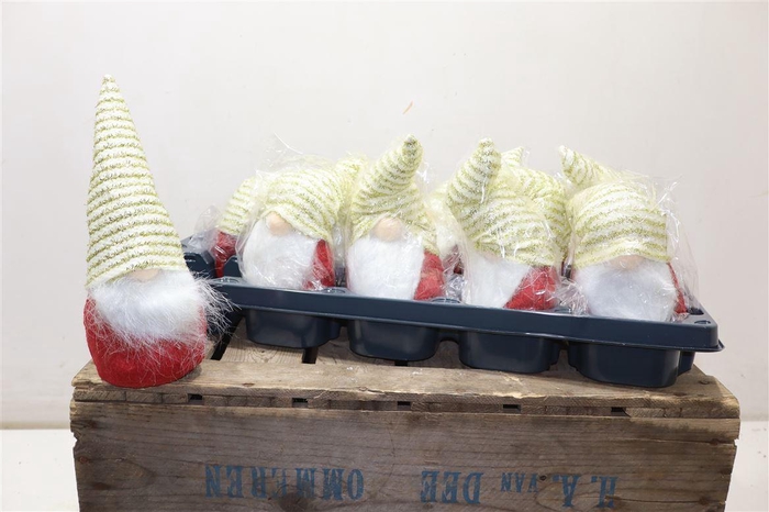 <h4>Kleine Gnoom H25 D10</h4>