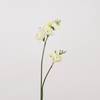 AF Freesia x2 L74cm White