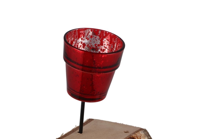 <h4>Waxine Basic Shine Red On Stick P/1 7cm Nm</h4>