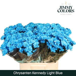 Chr T Kennedy Light Blue