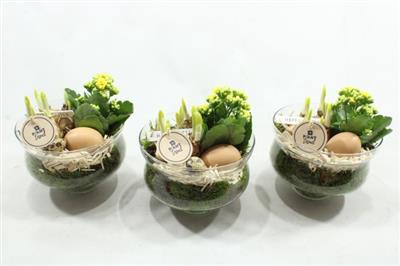 <h4>0242 Glas Op Voet Easter</h4>