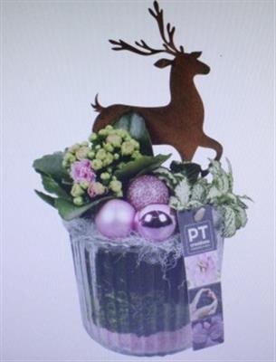 <h4>3521 Roze Ribbelglaasje</h4>