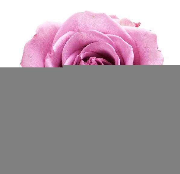 <h4>R GR COOL WATER!</h4>