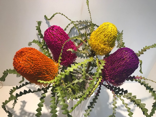 Banksia Tint Prionotes