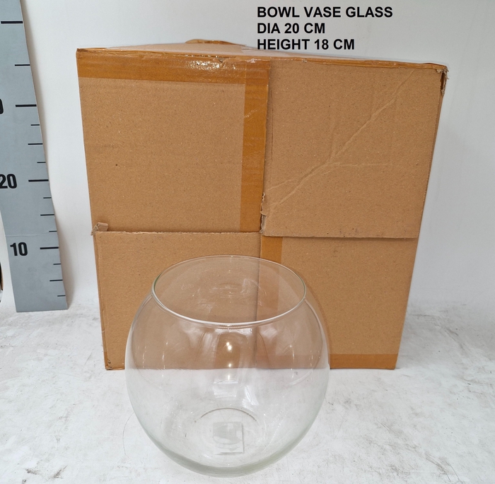 <h4>Glazen Vaas H%</h4>