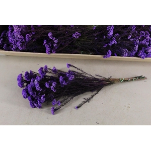 PF RICE FLOWERS PURPLE BS 100GR