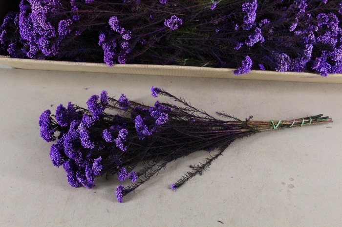 <h4>PF Rice Flowers Purple 100g</h4>