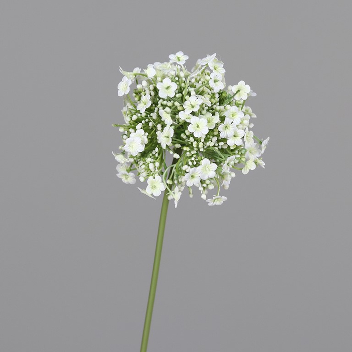 <h4>Allium with flowerhead 46cm cream</h4>