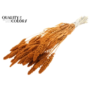 Gierst per bunch Intense Terracotta