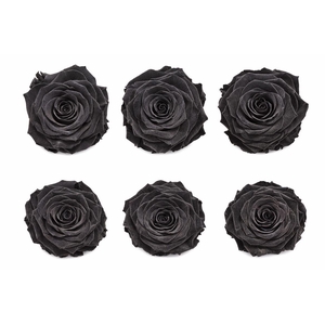 Ro Pres Classic Black