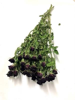 <h4>DROOG ROSES SPRAY ROOD</h4>
