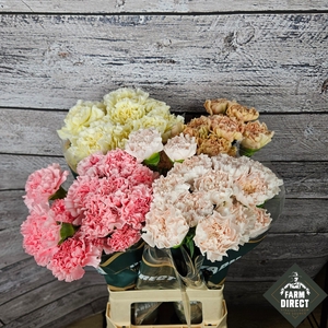 DI ST GEMENGD PASTEL IN FUST