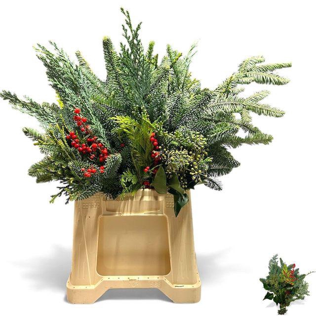 <h4>KERSTGROEN OV BS X6 PER FUST#</h4>
